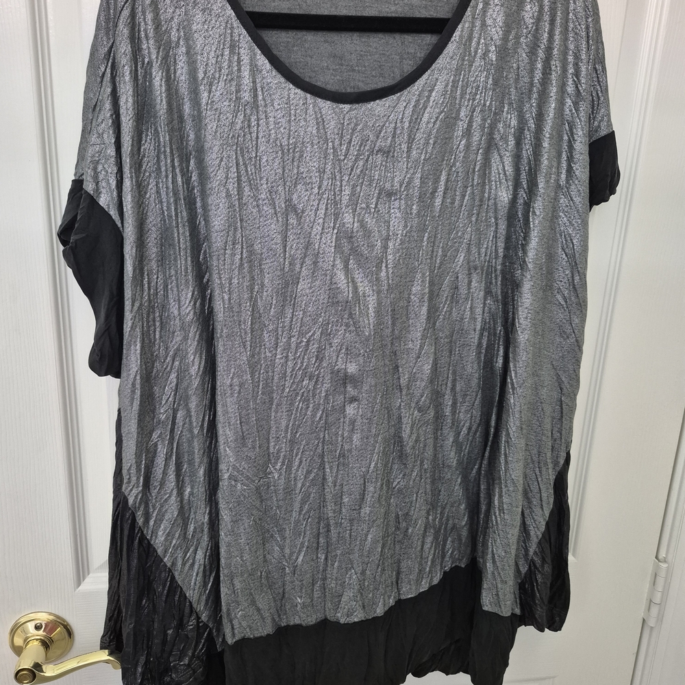 Alembika Women's Gray Top